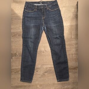 Judy Blue Classic Indigo Skinny Jeans